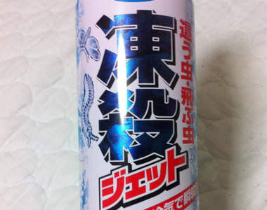 克蟑新絕招：急凍噴霧　最強冷凍氣體-75℃保證一噴就硬硬　