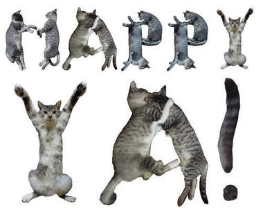 《貓字體》喵的身體排成你要的字～