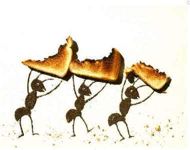 《泥土創作》是誰把我的吐司偷走了？