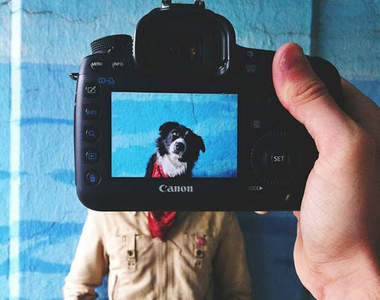 有創意的《主人與寵物的混搭合照》