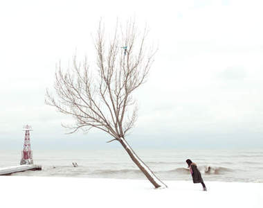 《無重力傾斜照》人樹一起倒 是要向麥可傑克森致敬?(誤)