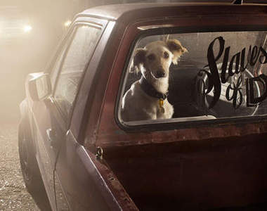 《孤獨狗狗》你捨得讓我一隻狗待在車裡嗎~汪~