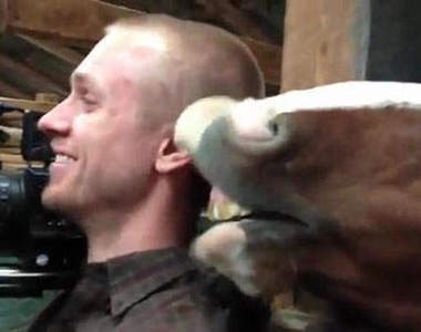 《騷擾人的馬》帥哥給虧一下咩(含耳)