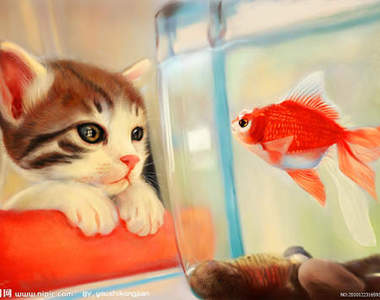 《貓的現行犯》世界上最不懂反省的偷腥者