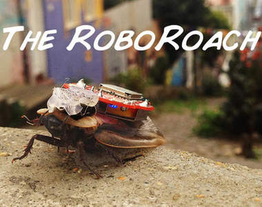 「RoboRoach」哀鳳遙控蟑螂　趕快收服屬於你的神奇寶貝吧(驚！？)