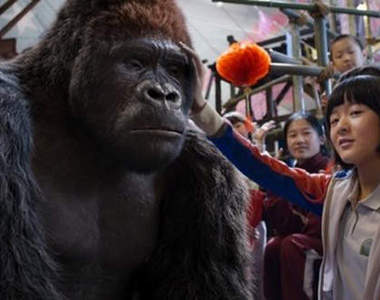 《王牌巨猩MR. GO》徐嬌變成可愛的小少女了～