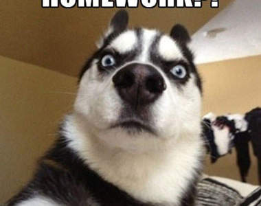 《沒有回家作業的小學》家課是什麼？可以吃嗎？