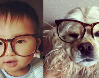 日本《小男孩與可卡犬》我要被你們融化了❤