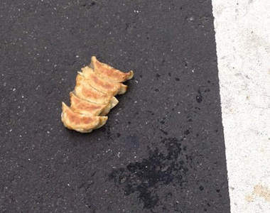 颱風吹來的天外飛物 還真的什麼都有什麼都不奇怪啊wwww