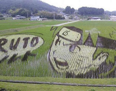 《日本田畫》沒想到連種田都可以這麼有趣 (嘆)