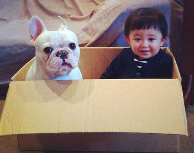 日本《小男孩與鬥牛犬》  他們真的好卡哇依ㄋㄟ