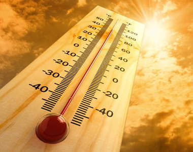 《熱死融化照》動物們也受不了啦~(汗)