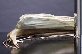 《鏡面變形藝術》長的好奇怪喔~看不懂這是甚麼啦~ 《鏡面變形藝術》長的好奇怪喔~看不懂這是甚麼啦~