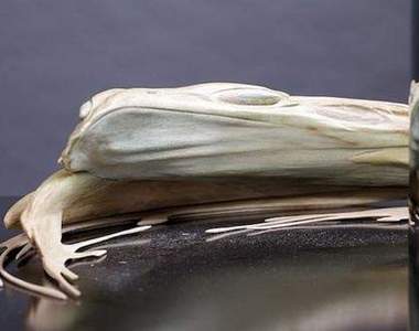 《鏡面變形藝術》長的好奇怪喔～看不懂這是甚麼啦～