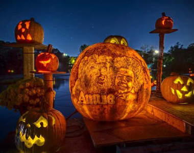 動物園裡出現《電影南瓜》，別拿它們來餵動物啊www