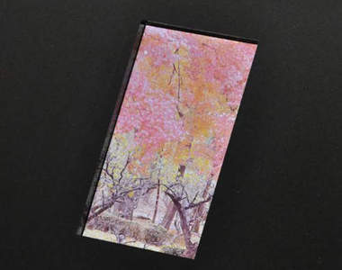 傳Sharp夏普將發表「超越1080p」的超強6.1吋新機!?