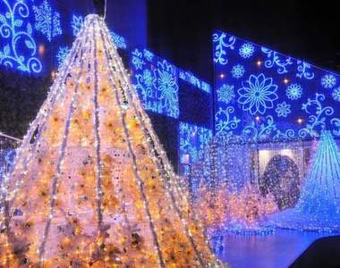 冬季《光之祭典》別錯過這美麗燈光饗宴