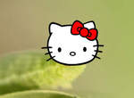 《Hello Kitty毛毛蟲》原來毛毛蟲也能這麼萌 《Hello Kitty毛毛蟲》原來毛毛蟲也能這麼萌