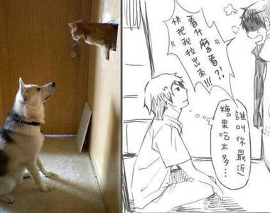 《貓貓狗狗擬人化》甜的快讓人融化了啦♥