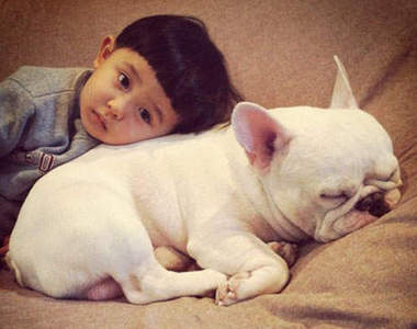 2013《可愛狗狗大回顧》不管看幾次都能融化你的心❤