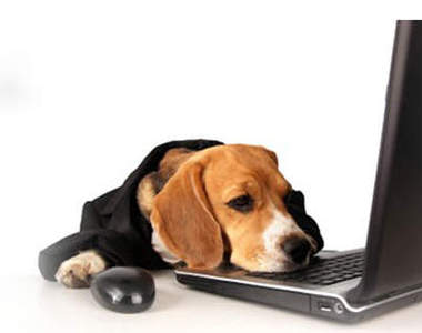 《對工作的期許VS現實》你的辛酸我懂（點頭）