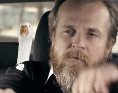 《導盲犬的重要性》別再把牠們拒於千里之外了ಥ_ಥ