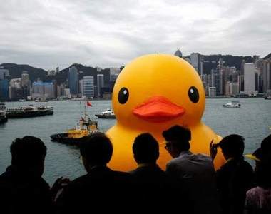 《大黃鴨熱潮》走到哪都看得到？！