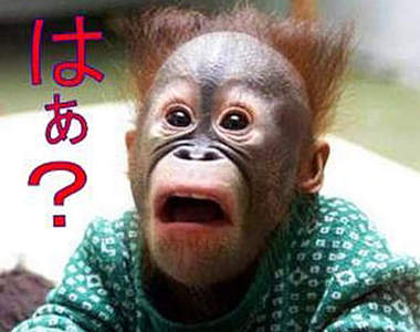 光聽名字就好好笑的《怪地名 TOP 10》