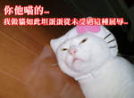《一點都不可愛的貓咪》還、還是很可愛啦...(動搖) 《一點都不可愛的貓咪》還、還是很可愛啦...(動搖)