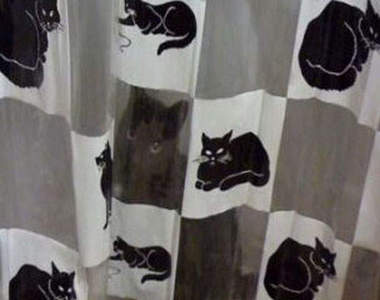 《貓的隱身術》你看不到我嗎？喵~~~=θωθ=