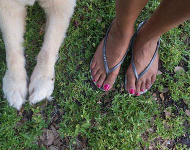 汪汪《腳與狗》一直看人家的腳好害羞喔(//▽//)