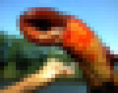 紐澤西異型鰻　七分相似外帶三分詭異的謎樣生物！？