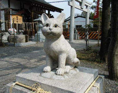 《尋回失貓神社》家中有貓走失的快來參拜~(跑)