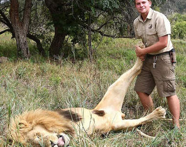 18歲《獅子按摩師》獅子都只跟帥哥做朋友嗎(//▽//)