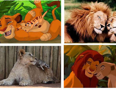 哈庫拉瑪塔塔《獅子王故鄉》超感動場景重現