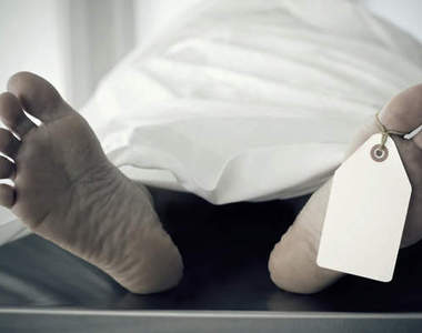 停屍櫃大拍賣　夏天躺上去保證讓你好好睡一覺起不來(WTF？)