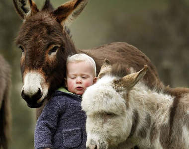 《小男孩與小毛驢》到哪裡都形影不離