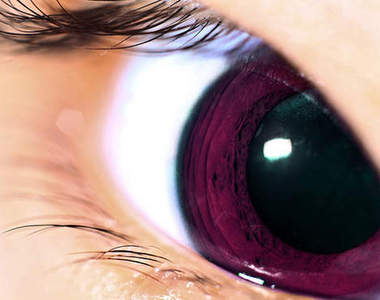 漫畫100眼 只看眼睛認的出來是哪部作品嗎？