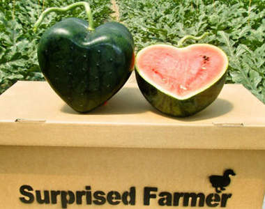 超可愛的《愛心西瓜》捨不得吃~ ♥