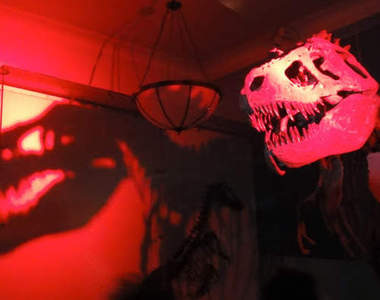 博物館驚魂夜　你敢一個人拿著手電筒逛完全館嘛？