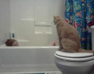 「廁所門請記得關」不然你家的寵物會......XD