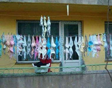 放假後的《女大生自炊房》大概被炸彈炸過吧?