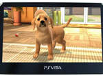 《PlayStation Vita Pets》狗狗朋友陪你玩鬧還會烙英文 《PlayStation Vita Pets》狗狗朋友陪你玩鬧還會烙英文