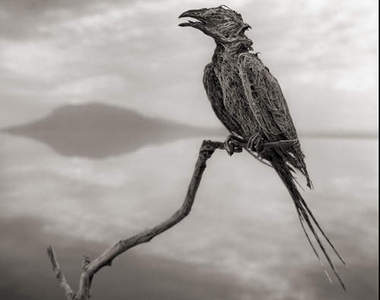 《納特龍湖》非洲的致命石化湖！？（固）