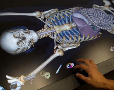 虛擬解剖桌　比超執刀更逼真的互動體驗