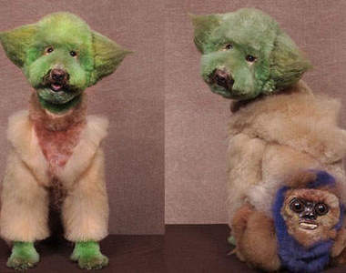 《狗狗造型大賽》牠們........是無辜的T^T