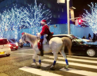 《白馬聖誕老人》現身日本街頭　腦公公～禮...禮物（追）