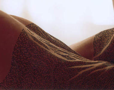 《身體聖經》這些是寫在身體甚麼部位呢？