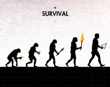 另類版《人類進化史》應該有越來越聰明吧...?