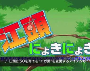 孵化《江頭2:50》養成手機遊戲…還有圖鑑耶XD